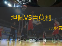 坦佩VS魯莫利