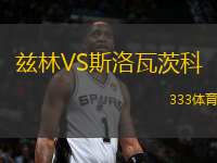 茲林VS斯洛瓦茨科