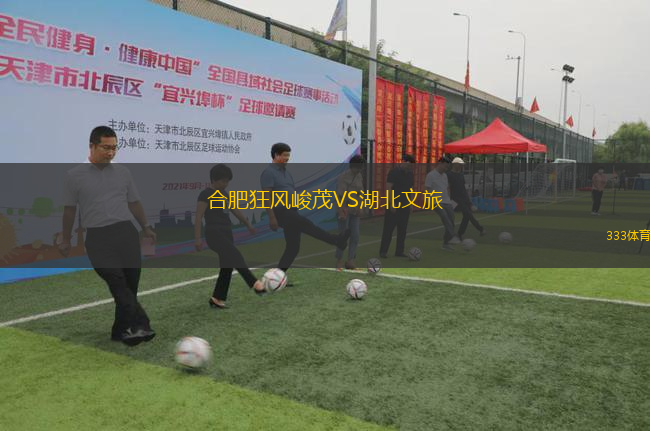 合肥狂風(fēng)峻茂VS湖北文旅