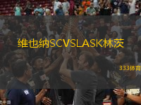 維也納SCVSLASK林茨
