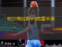 帕爾梅拉斯VS格雷米奧