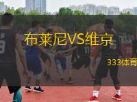 布萊尼VS維京