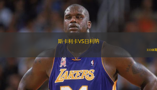 斯卡利卡VS日利納