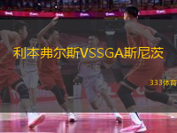 利本弗爾斯VSSGA斯尼茨