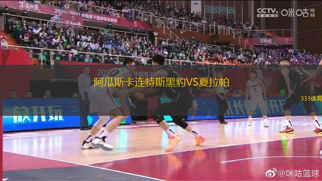 阿瓜斯卡連特斯黑豹VS夏拉帕