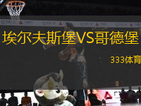 埃爾夫斯堡VS哥德堡