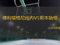 德利塔格尼拉內(nèi)VS哥本哈根