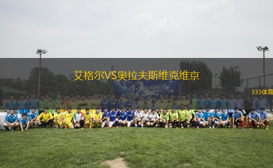 艾格爾VS奧拉夫斯維克維京