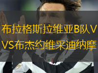 布拉格斯拉維亞B隊VS布杰約維采迪納摩
