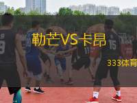 勒芒VS卡昂