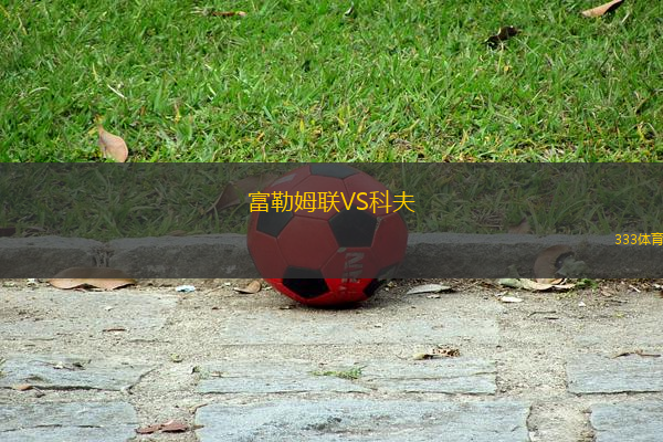 富勒姆聯(lián)VS科夫