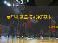 費(fèi)里扎戴拿模VSKF基卡